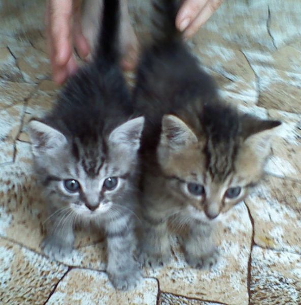 052907104114.jpg